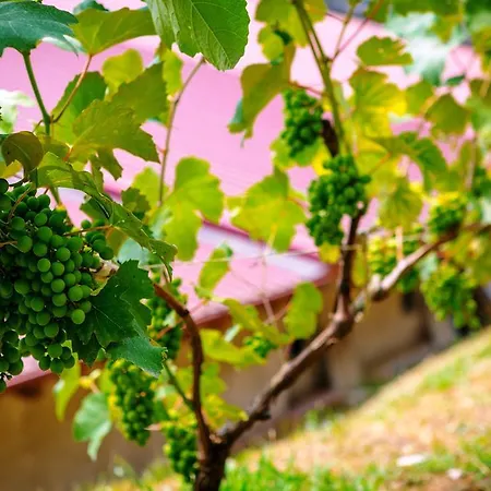 Il Bagnolo Eco Alloggio per agriturismo Salò